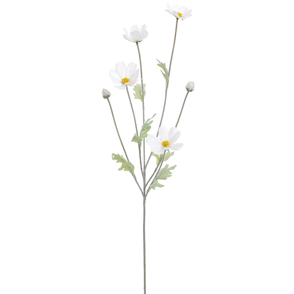 Cosmos Spray -White