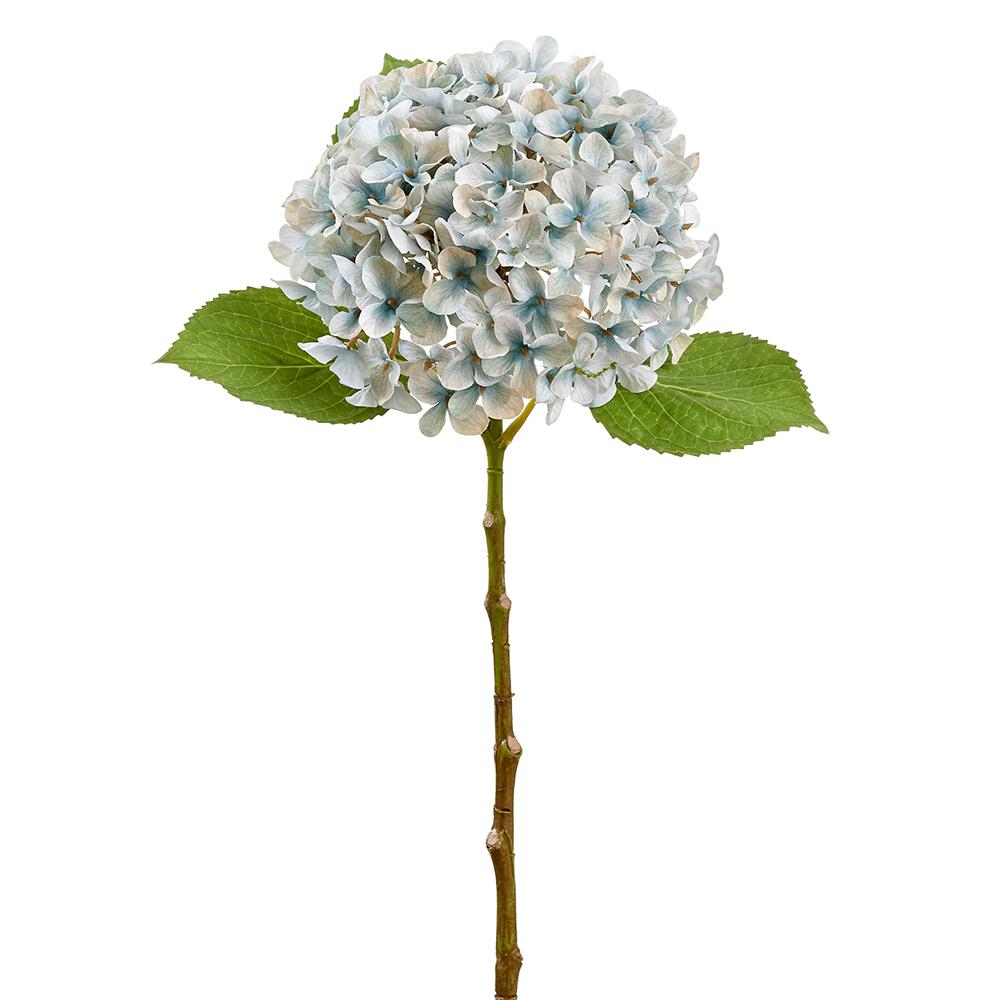 Hydrangea Spray