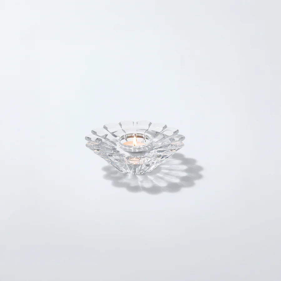 Marquis by Waterford Aster Votive