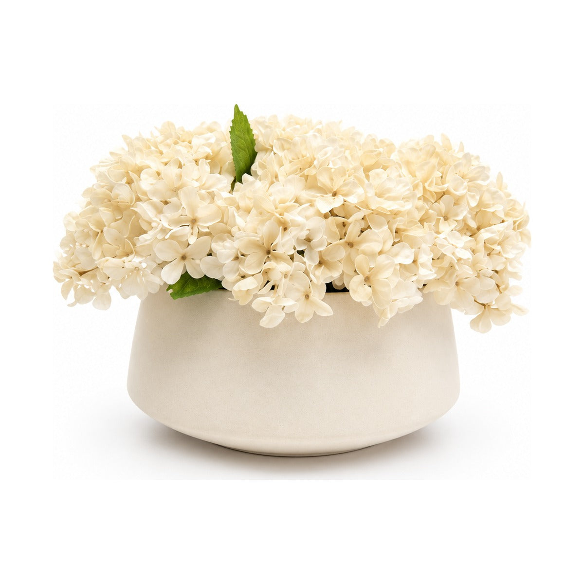 Flaura Cream Hydrangeas