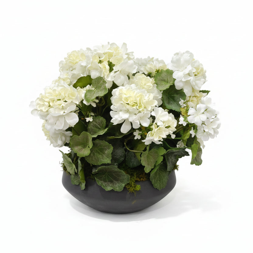 Flaura White Geraniums in Grey Pot