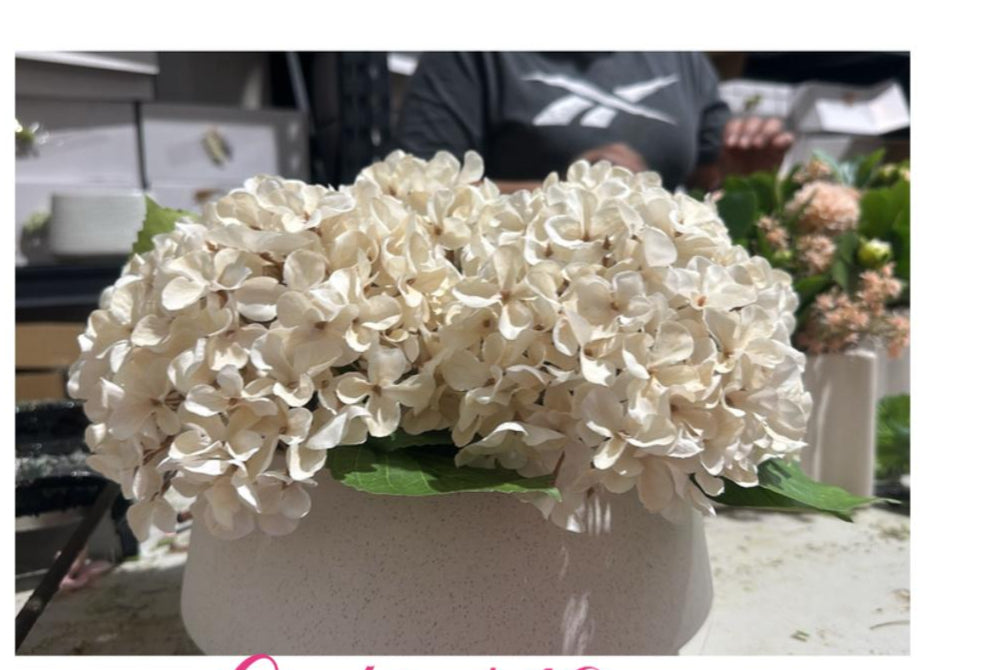 Flaura Cream Hydrangeas