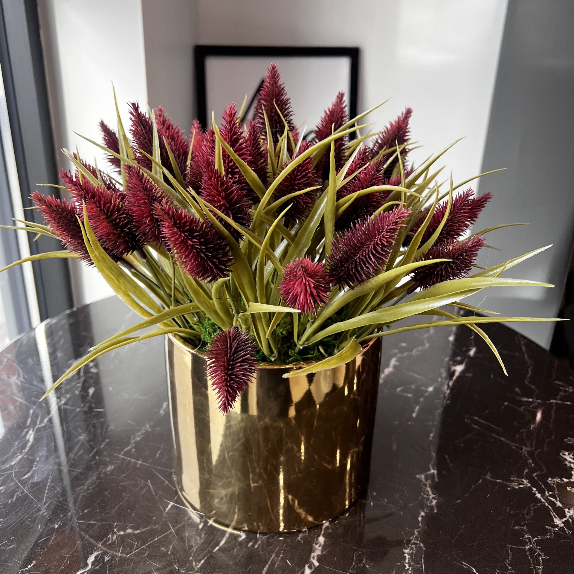 Flaura Burgandy Red Hakea