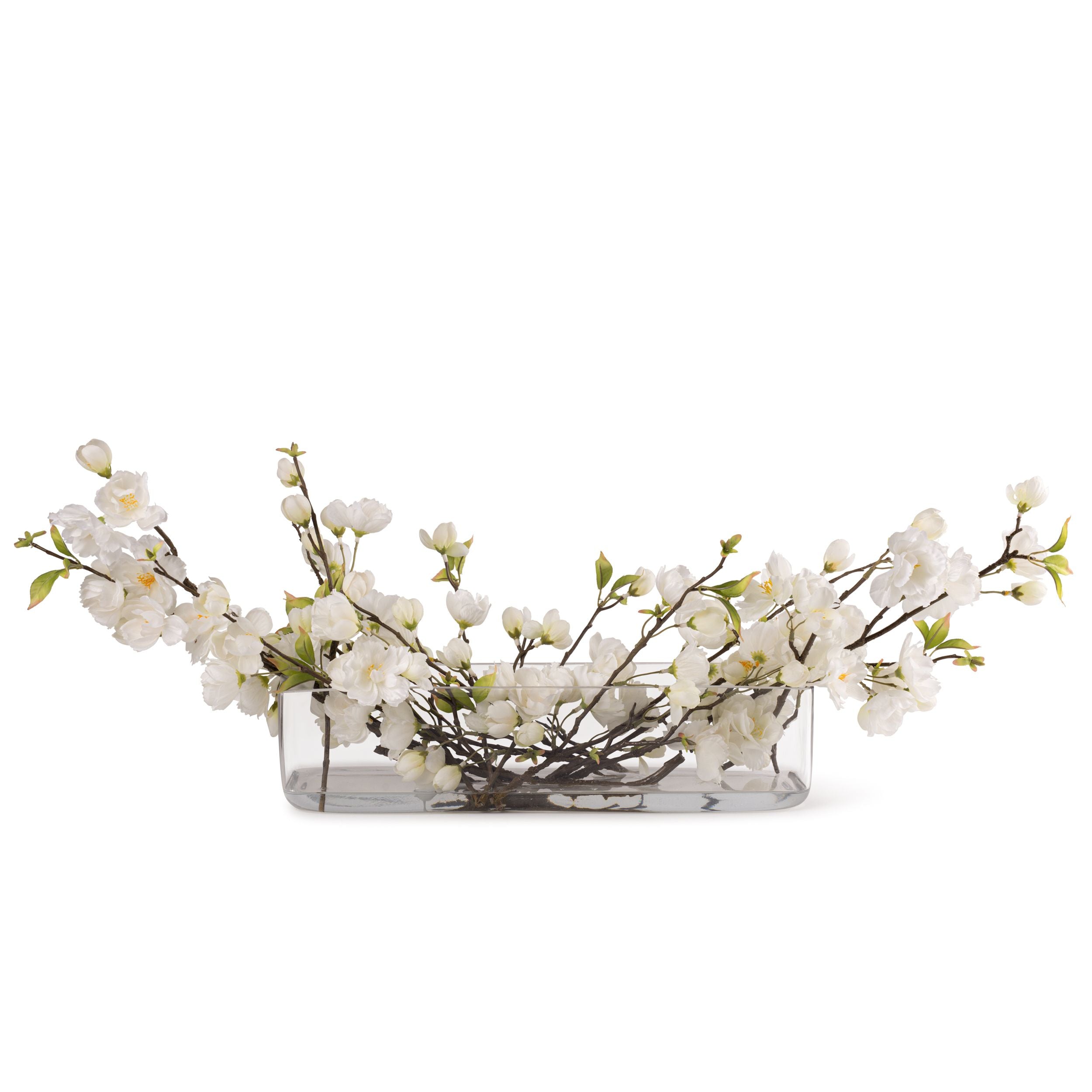 Flaura Cherry Blossom in Long Glass Vase