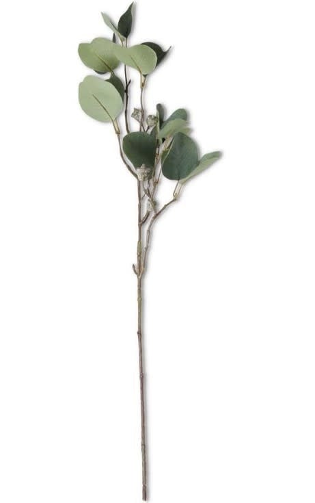 Eucalyptus Stem w/ Pods